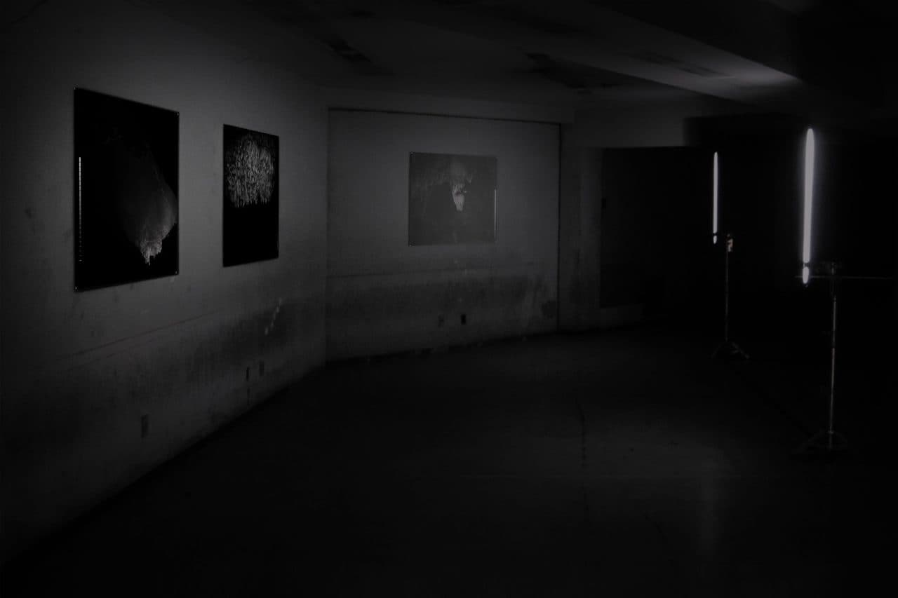 Série Cavernas, Exhibition À Tona, Pivô-SP, 2013, Cavernas I, II E III, Photography, UV inkjet on reflective film on aluminum